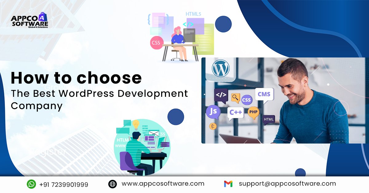 How to Choose the Best WordPress Development Company?