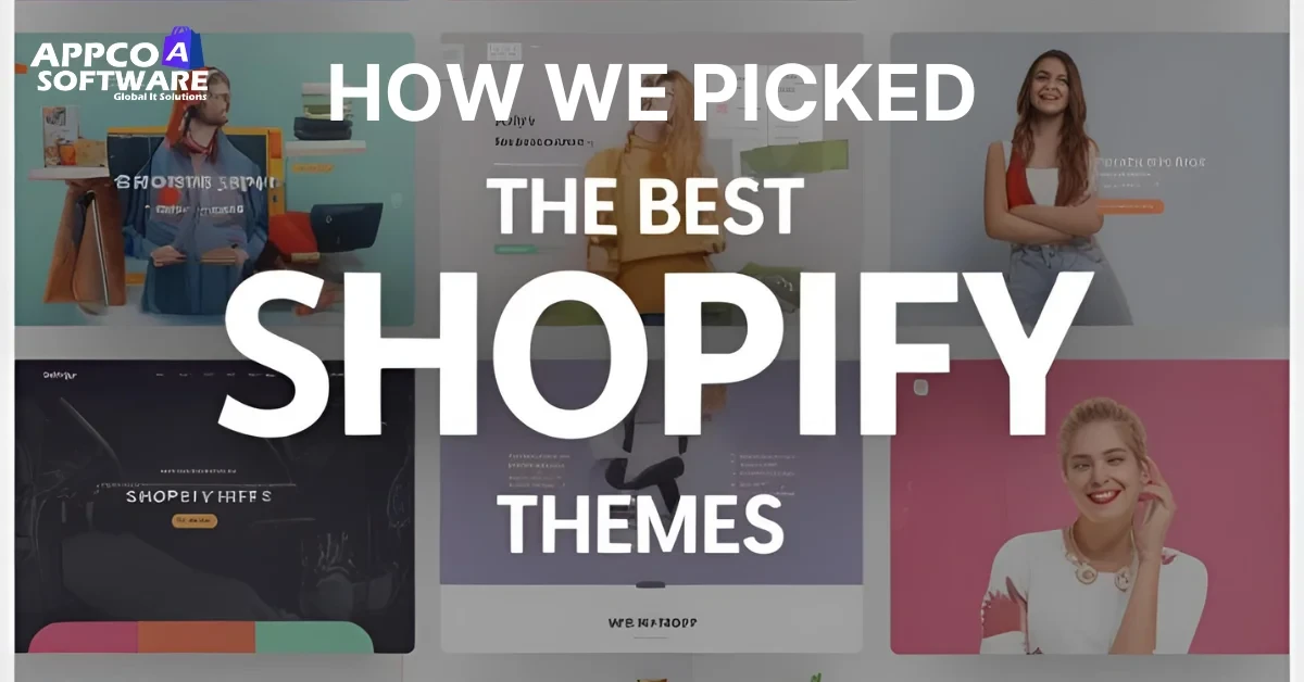How We Picked the Best Shopify Themes?