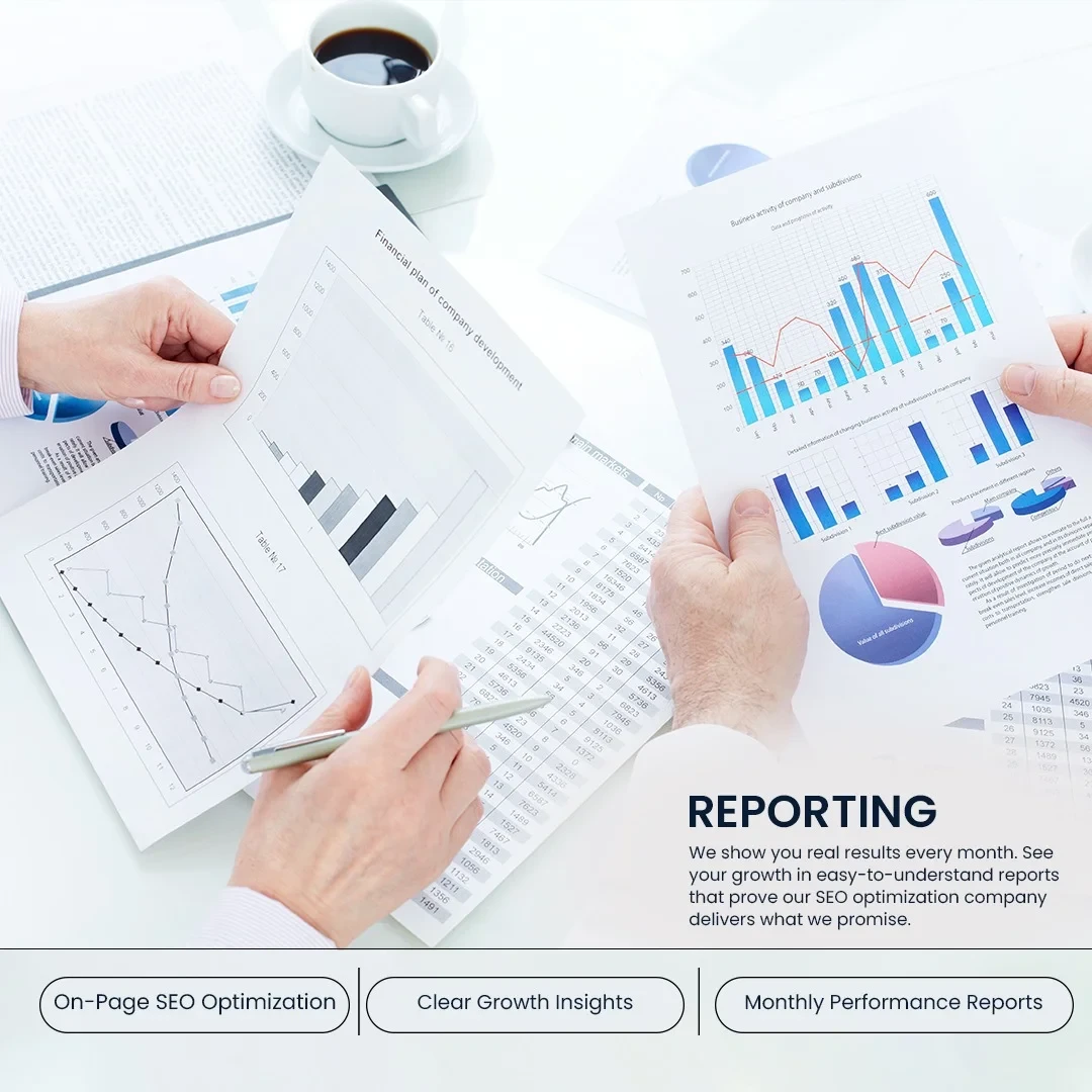 Expert SEO Services Reporting
