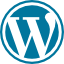 WordPress Speed Optimization