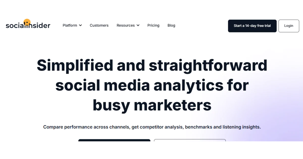 social media management